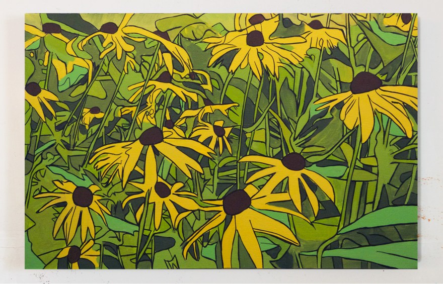 Black Eyed Susans 2, Oil on Canvas, 18 x 30, 2016